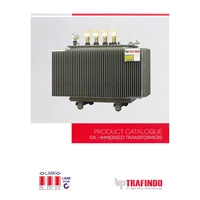 TRAFINDO 20 KV Distribution Transformer